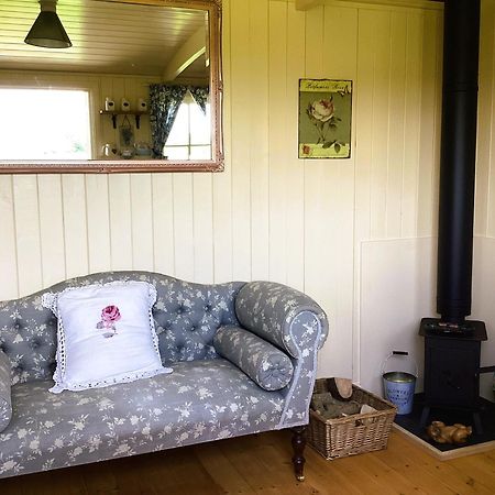 Lilly'S Pad Hotel Bude Exterior foto