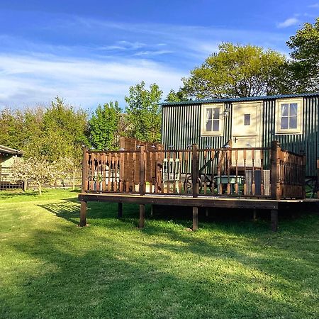 Lilly'S Pad Hotel Bude Exterior foto